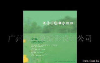 专业企业形象策划与宣传设计服务